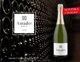 Vno Amador  brut 0,75L Pere Ventura DO CAVA